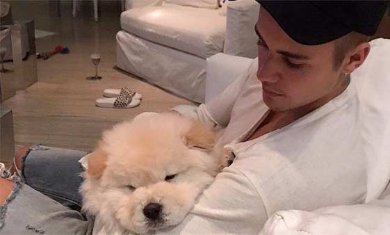 Justin Bieber, i fan scatenano la polemica!